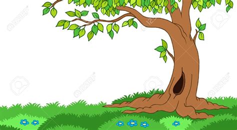 Forest Plant Clipart Clipground