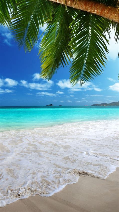 1080x1920 Beach Iphone Wallpaper Hd 90 Images Tropical Paradise