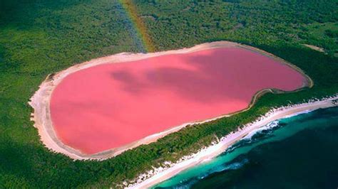 Pink Lakes In Australia And The True Reason Behind The Pink Color