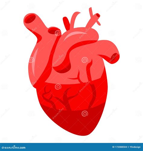 Healthy Human Heart Icon Isometric Style Stock Vector Illustration