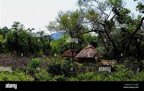 Landscape Of The Village Of Hamar Tribe Turmi Ethiopia Stock Photo
