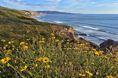 Torrey Pines State Natural Reserve In San Diego A Vast Protected
