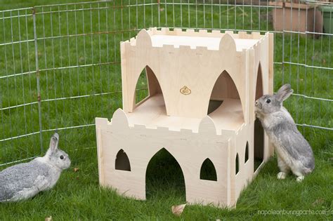 Rabbits At Your Ready Maintain Your Stronghold The Castle Keep Has