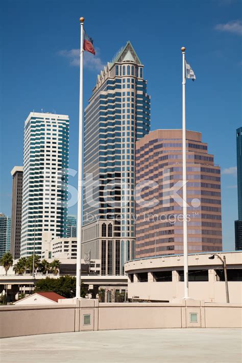 Buildings In Downtown Tampa Florida Stock Photo Royalty Free