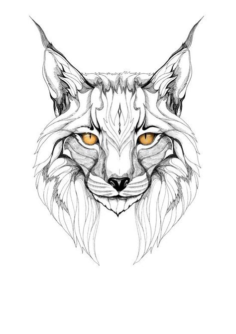 Lynx Graphic Art Cat Tattoo Tattoo Graphic Animal Drawings