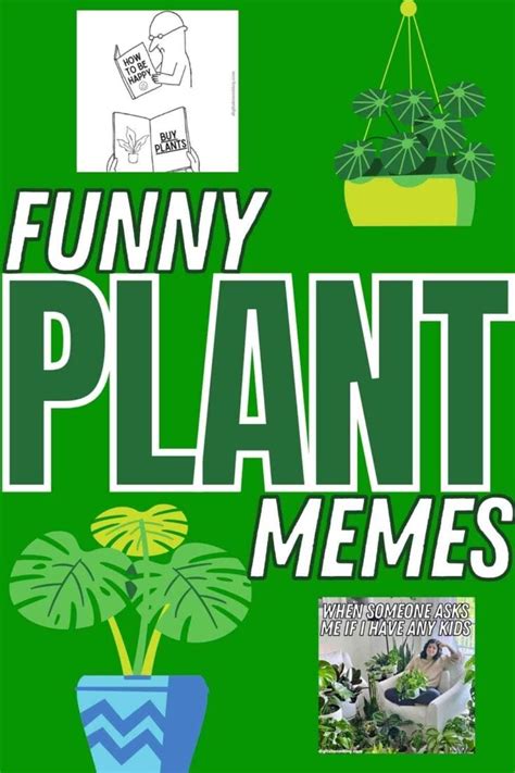 Plant Memes 50 Funny Images For The Greenery Obsessed
