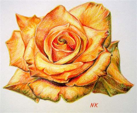 Maybe you would like to learn more about one of these? 45 Beautiful Flower Drawings and Realistic Color Pencil ...