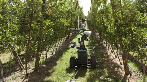 Fruit Picking Robot Technology Will Be Efficient And Affordable For
