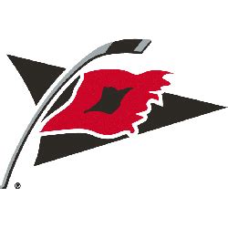 Their official mascot is stormy. Carolina Hurricanes Alternate Logo | Sports Logo History
