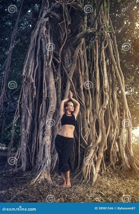 Woman Near Banyan Tree Stock Photo Image Of Branches