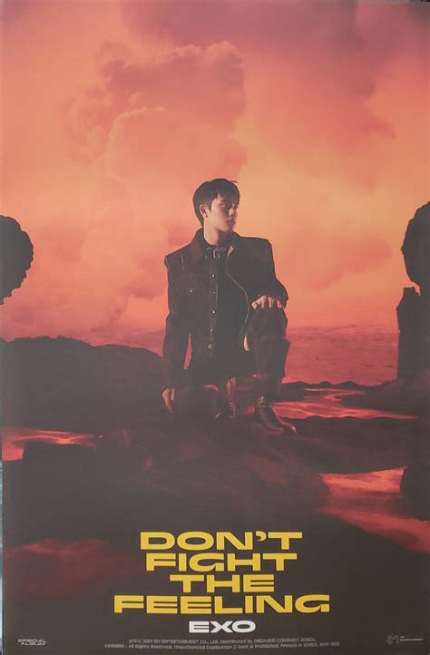 Exo Special Album Dont Fight The Feeling Photobook Ver 1 Official P
