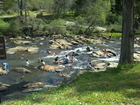 Nestled in the heart of the big thicket, indian springs is blessed with giant oak, beech, bay, magnolia, cypress, hickory and pine. Indian Springs State Park | Georgia Staycation | Pinterest