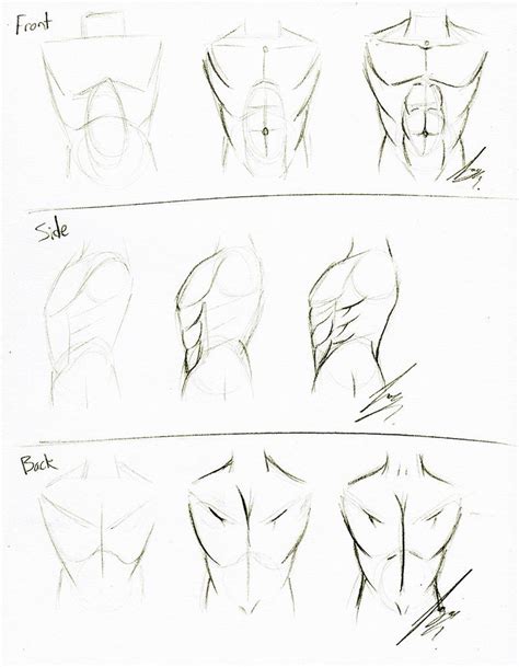 Torso Tutorial By Juacamo On Deviantart Body Sketches Drawing Anime