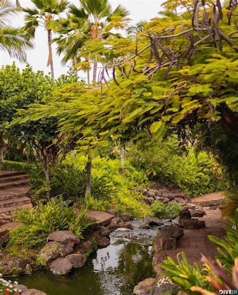 Hotel Wailea Maui Review 2023 Divein