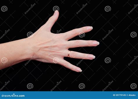 Woman Hand Showing Five Fingers Stock Image Image Of Adult Gestures