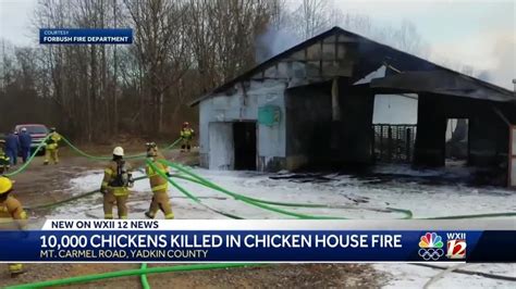 10000 Chickens Killed In Fire Youtube