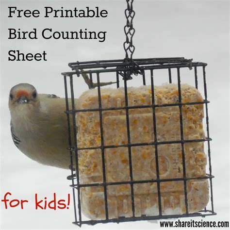 Share It Science Free Bird Counting Printable Great Backyard Bird Count