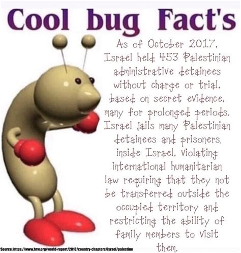 Bug Facts Meme