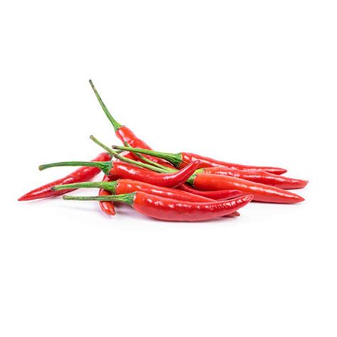 Red Chilli Padicili Padi Merah Sold Per Kg — Horeca Suppliers