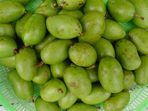 Maybe you would like to learn more about one of these? Mango