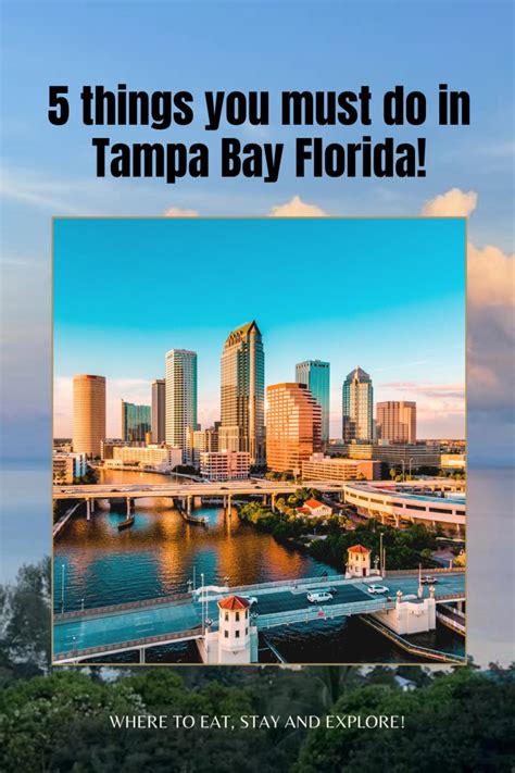 Best Of Tampa Florida Travel Guide 5 Things You Must Do