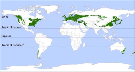 Temperate Forests Of The World Download Scientific Diagram