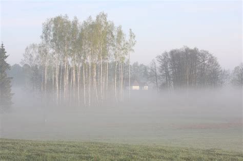 The Fog Meadow Landscape Free Photo On Pixabay Pixabay