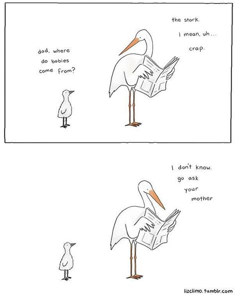 Stork Baby Asks Its Dad Where Do Babies Come From In Comic By Liz Climo