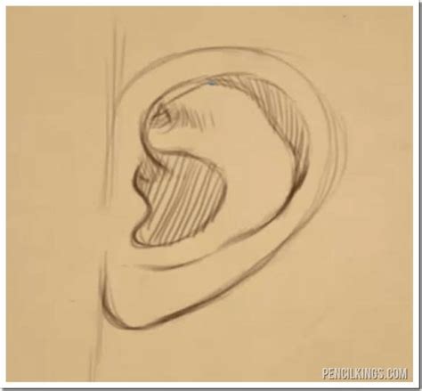 How To Draw Ears