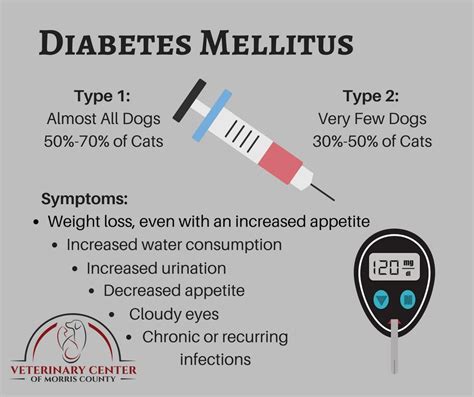 Cations such as dysfunction, and failure of differ ent organs Bahamas: Diabetes Mellitus 'Fifth Leading Cause Of Death ...