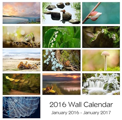 Quantity Of 6 2016 Wall Calendars Of Original Nature