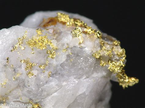 Gold Mineral Specimens For Sale