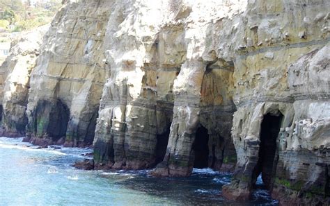 Book top tours on viator Explore La Jolla's 7 Caves by Kayak Savvy California Savvy ...