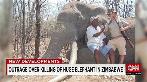 Huge Elephant Killing Sparks Outrage Cnn Video