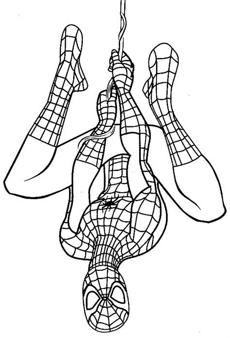 Desenhos Do Homem Aranha Para Colorir Atividades Educativas Images