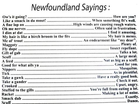 Newfoundland Sayings Newfoundland Newfie Sayings