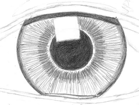Eye Iris Drawing At Explore Collection Of Eye Iris