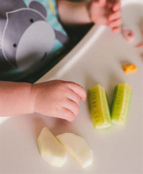 The Pros And Cons Of Making Your Own Baby Food Baby Food Recipes