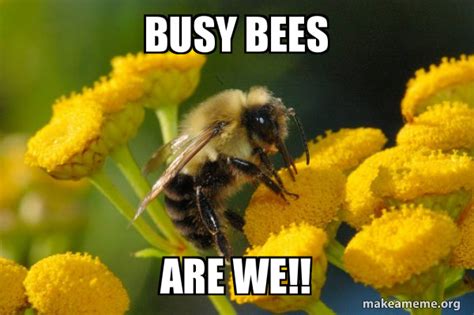 Busy Bees Are We Good Guy Bee Meme Generator