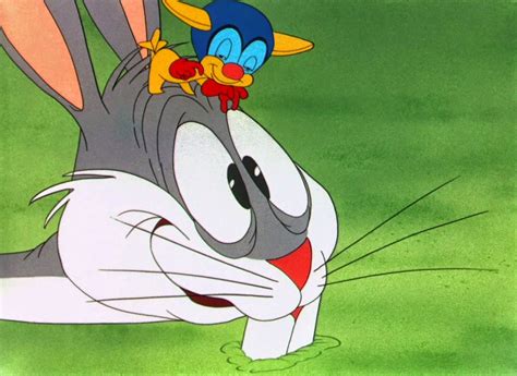 Falling Hare Looney Tunes Old Cartoons