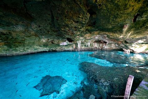 13 Best Cenotes Near Playa Del Carmen 2020 The Whole World Is A