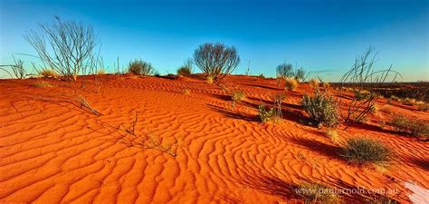 Teil Vorspannen Schlechter Faktor Great Sandy Desert Western Australia