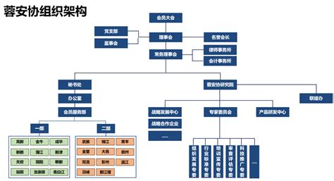 Google play service ;google play store. 组织架构