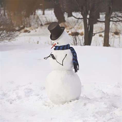 92 Hilariously Creative Snowmen That Would Make Calvin And Hobbes Proud