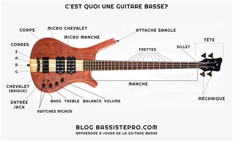 Combien De Corde A Une Basse - Guitare basse ou Basse électrique ?⎪BassistePro.com ⎪Cours de basse