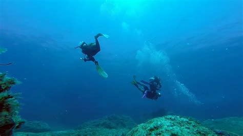 Scuba Diving The Magic To See Marine Life Youtube