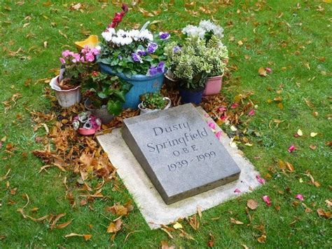 Dusty Springfield Musician Known As The White Queen Of Soul She