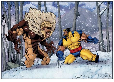 Wolverine Vs Sabertooth Matt James Sabertooth Terror Art Wolverine