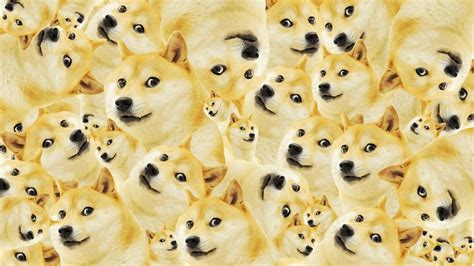 Doggo Meme Wallpapers Top Free Doggo Meme Backgrounds Wallpaperaccess