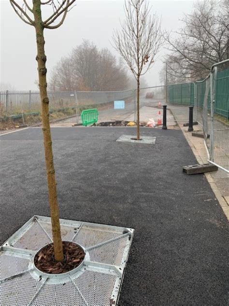 Green Tech Supply Urban Tree Planting Materials For Manchester Traffic